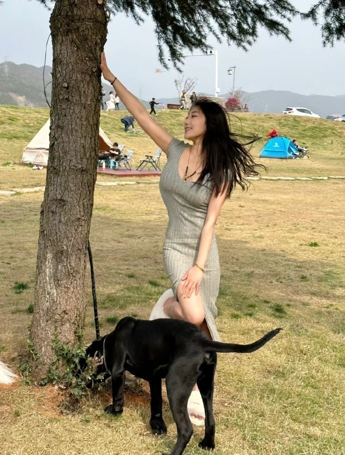 大明王朝1566 封面