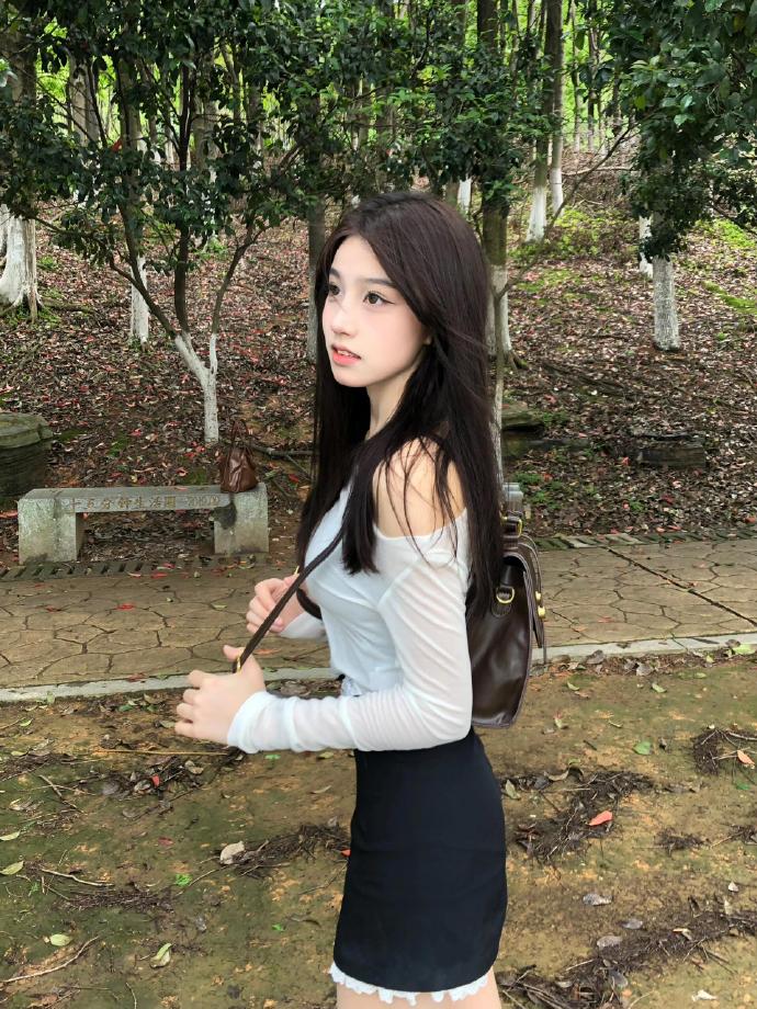 解剖大师 封面